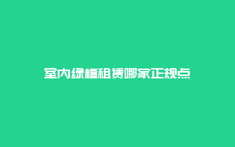 室内绿植租赁哪家正规点