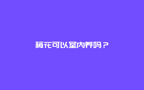 梅花可以室内养吗？