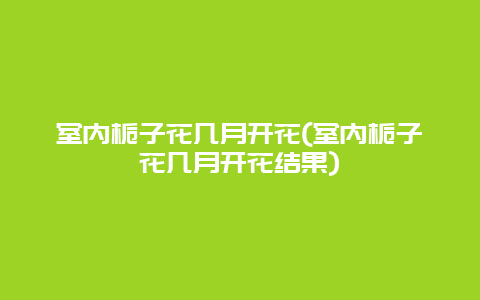 室内栀子花几月开花(室内栀子花几月开花结果)