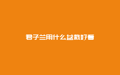 君子兰用什么盆栽好看