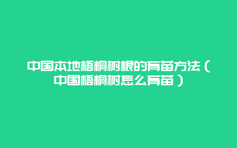 中国本地梧桐树根的育苗方法（中国梧桐树怎么育苗）