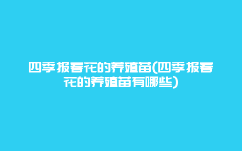 四季报春花的养殖苗(四季报春花的养殖苗有哪些)