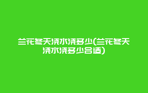 兰花冬天浇水浇多少(兰花冬天浇水浇多少合适)