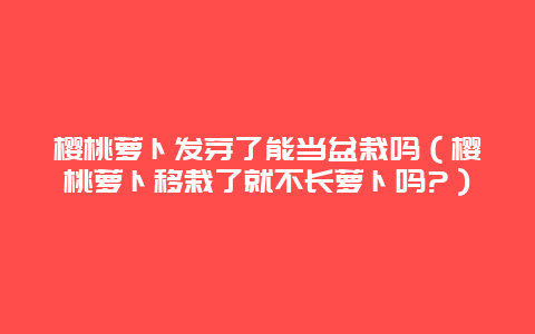 樱桃萝卜发芽了能当盆栽吗（樱桃萝卜移栽了就不长萝卜吗?）