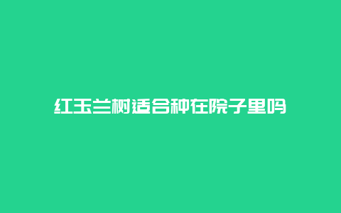 红玉兰树适合种在院子里吗