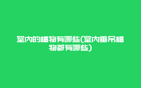 室内的植物有哪些(室内垂吊植物都有哪些)