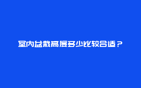 室内盆栽高度多少比较合适？