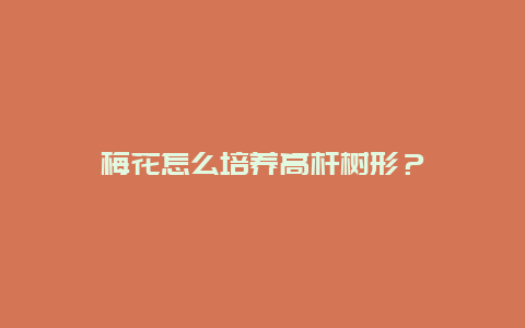 梅花怎么培养高杆树形？