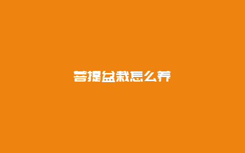 菩提盆栽怎么养