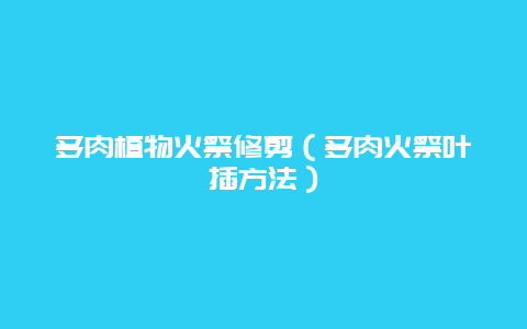 多肉植物火祭修剪（多肉火祭叶插方法）