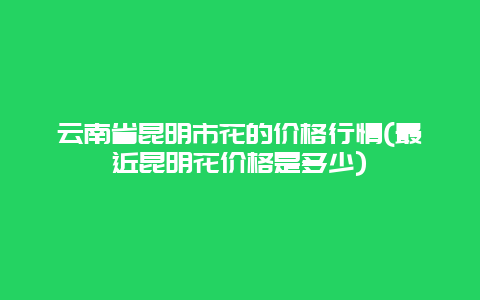 云南省昆明市花的价格行情(最近昆明花价格是多少)