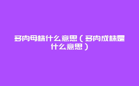 多肉母株什么意思（多肉成株是什么意思）