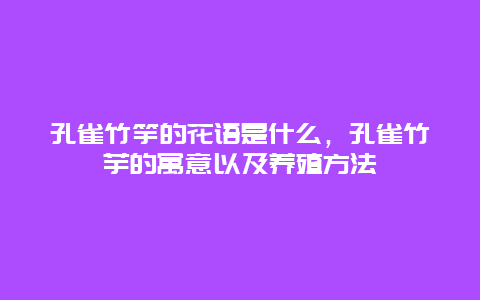 孔雀竹竽的花语是什么，孔雀竹芋的寓意以及养殖方法