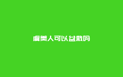 虞美人可以盆栽吗