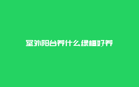 室外阳台养什么绿植好养