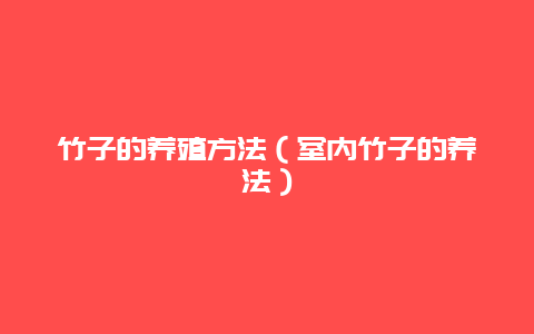 竹子的养殖方法（室内竹子的养法）