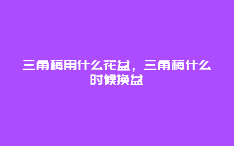 三角梅用什么花盆，三角梅什么时候换盆