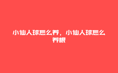 小仙人球怎么养，小仙人球怎么养根