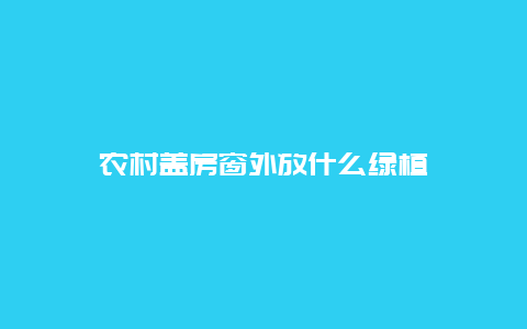 农村盖房窗外放什么绿植