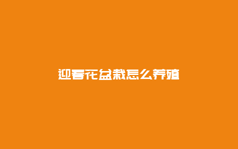 迎春花盆栽怎么养殖