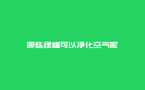 哪些绿植可以净化空气呢