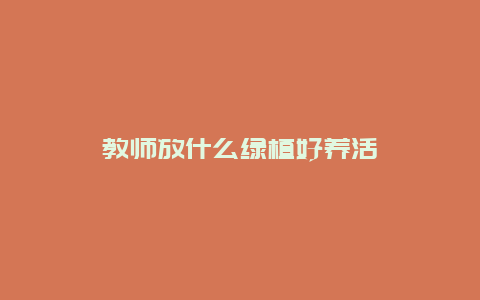 教师放什么绿植好养活