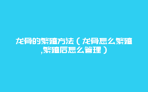 龙骨的繁殖方法（龙骨怎么繁殖,繁殖后怎么管理）