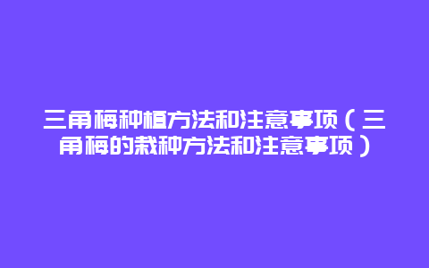 三角梅种植方法和注意事项（三角梅的栽种方法和注意事项）