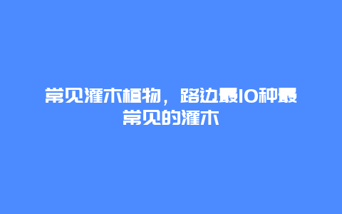 常见灌木植物，路边最10种最常见的灌木