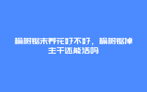 榆树锯末养花好不好，榆树锯掉主干还能活吗