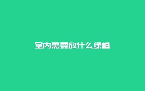 室内需要放什么绿植