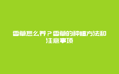 香草怎么养？香草的种植方法和注意事项