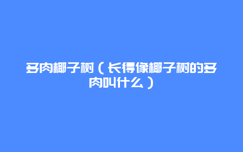 多肉椰子树（长得像椰子树的多肉叫什么）