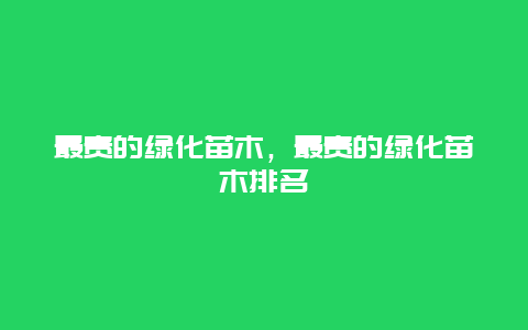 最贵的绿化苗木，最贵的绿化苗木排名