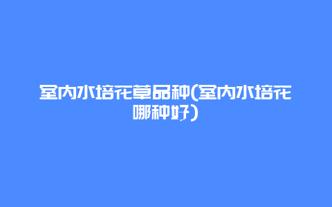 室内水培花草品种(室内水培花哪种好)