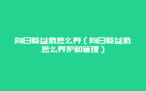 向日葵盆栽怎么养（向日葵盆栽怎么养护和管理）