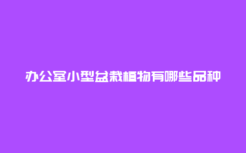 办公室小型盆栽植物有哪些品种