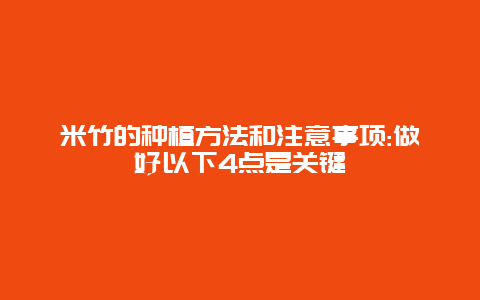 米竹的种植方法和注意事项:做好以下4点是关键