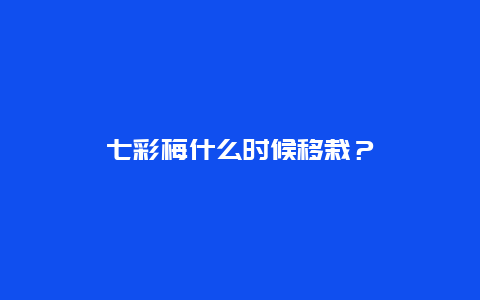 七彩梅什么时候移栽？