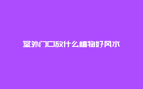 室外门口放什么植物好风水