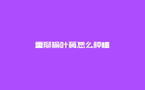 重瓣榆叶梅怎么种植