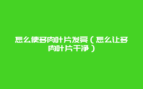 怎么使多肉叶片发亮（怎么让多肉叶片干净）