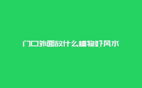 门口外面放什么植物好风水