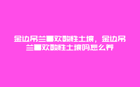 金边吊兰喜欢酸性土壤，金边吊兰喜欢酸性土壤吗怎么养