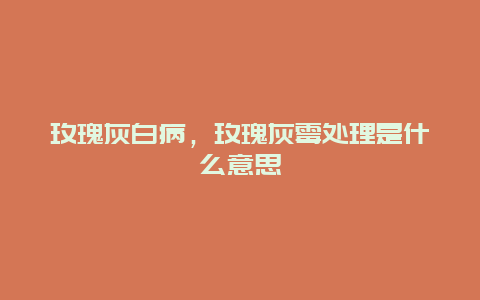 玫瑰灰白病，玫瑰灰霉处理是什么意思