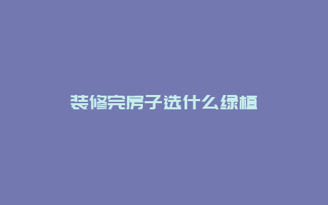 装修完房子选什么绿植