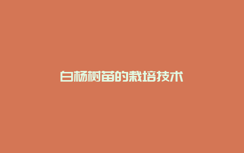 白杨树苗的栽培技术