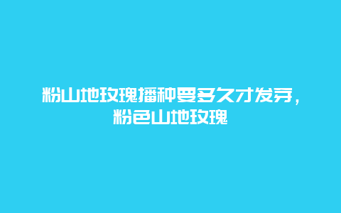 粉山地玫瑰播种要多久才发芽，粉色山地玫瑰