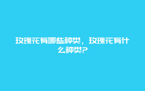 玫瑰花有哪些种类，玫瑰花有什么种类?