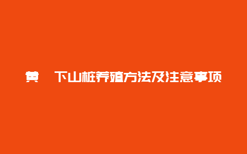 黄栌下山桩养殖方法及注意事项